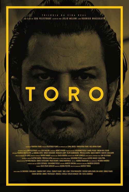 Toroのポスター