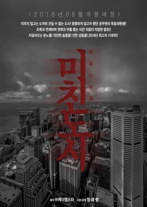 미친도시のポスター