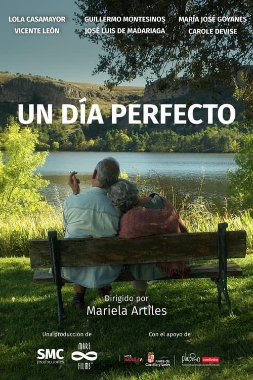 Un día perfectoのポスター