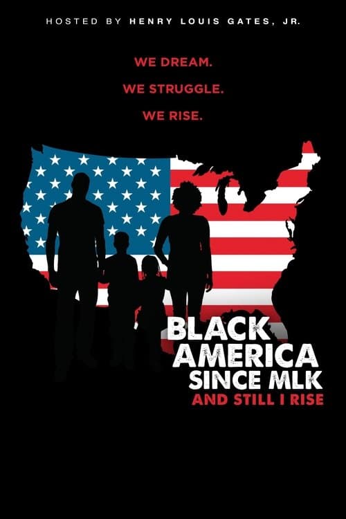 Black America Since MLK: And Still I Riseのポスター