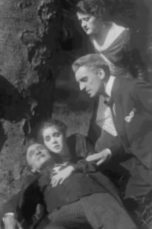 Pro Domoのポスター