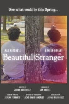 Beautiful Strangerのポスター