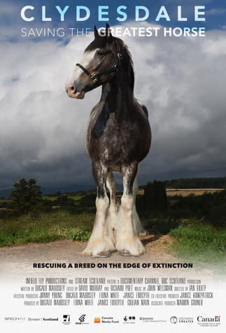 Clydesdale: Saving the Greatest Horseのポスター