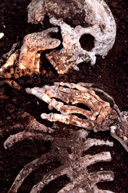 虚しいだけのポスター