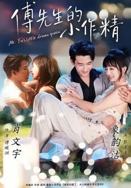 傅先生的小作精のポスター