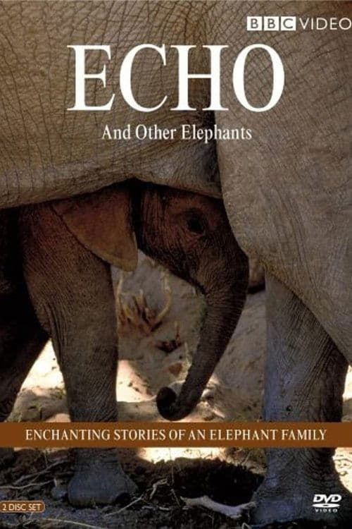 Echo and Other Elephantsのポスター
