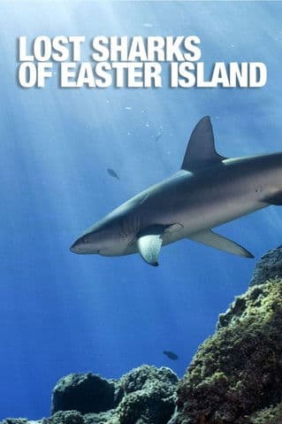 Lost Sharks of Easter Islandのポスター