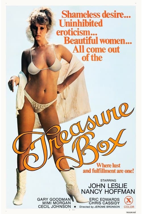 The Treasure Boxのポスター