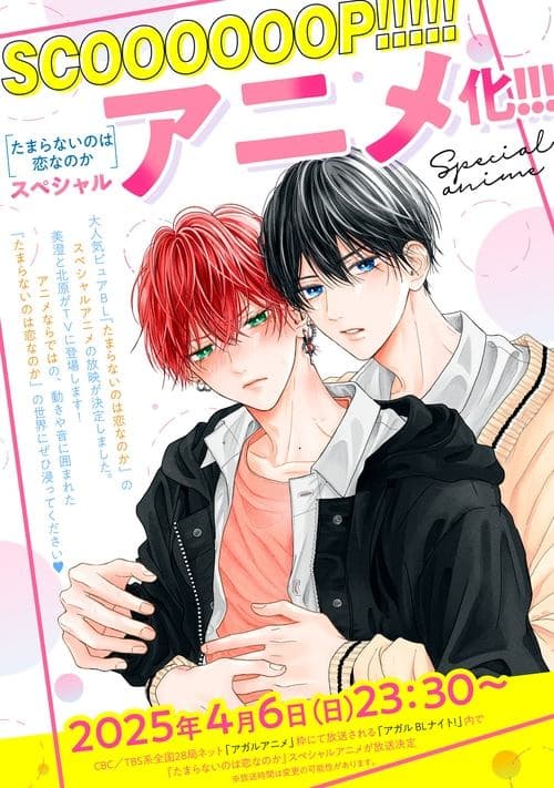 たまらないのは恋なのかのポスター