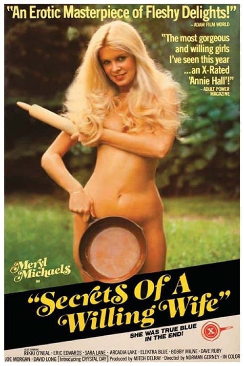 Secrets of a Willing Wifeのポスター