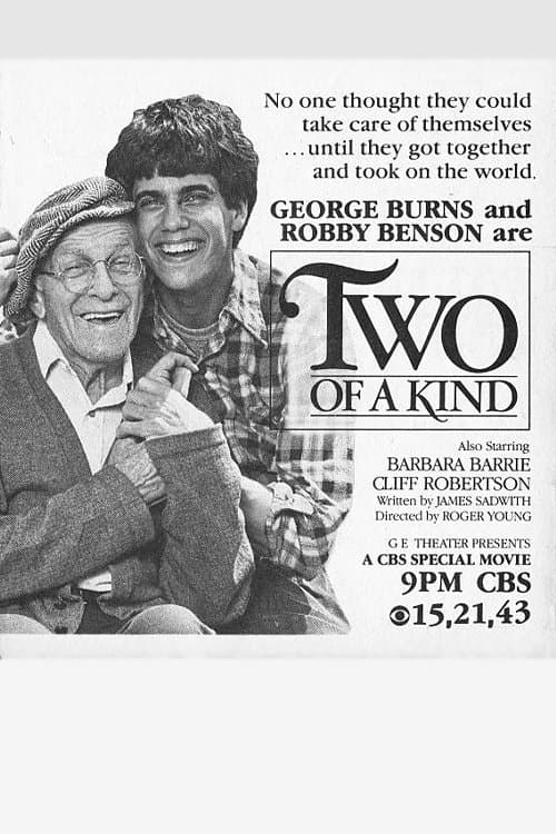 Two of a Kindのポスター