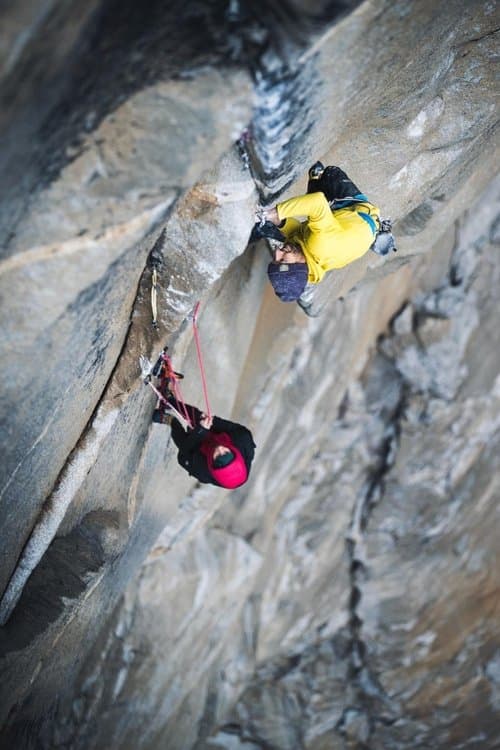 Magic Mushroomのポスター