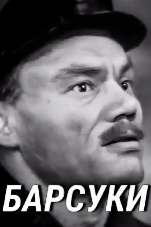 Барсукиのポスター