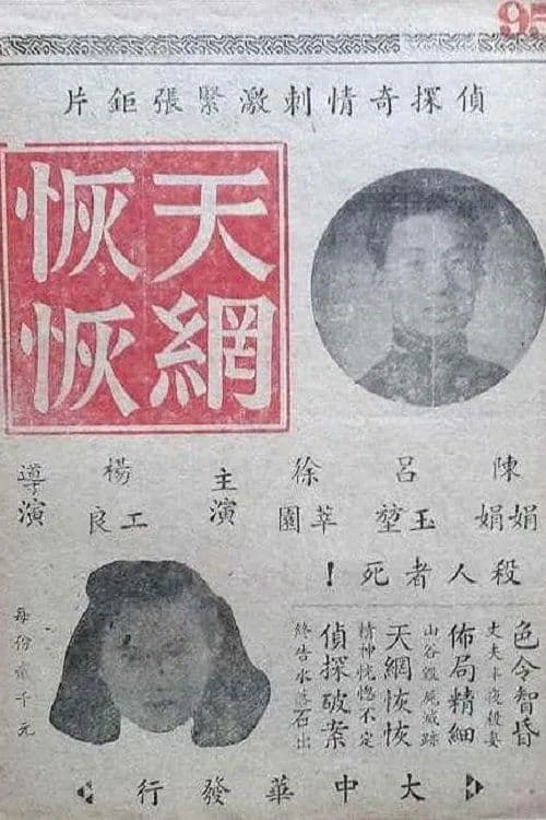 天网恢恢のポスター