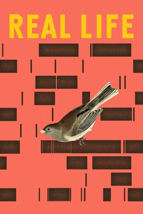 Real Lifeのポスター
