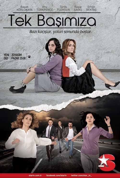 Tek Başımızaのポスター