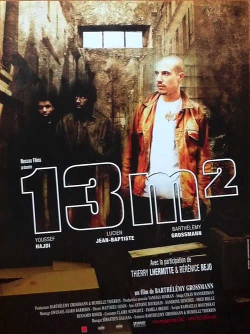 13 m²のポスター