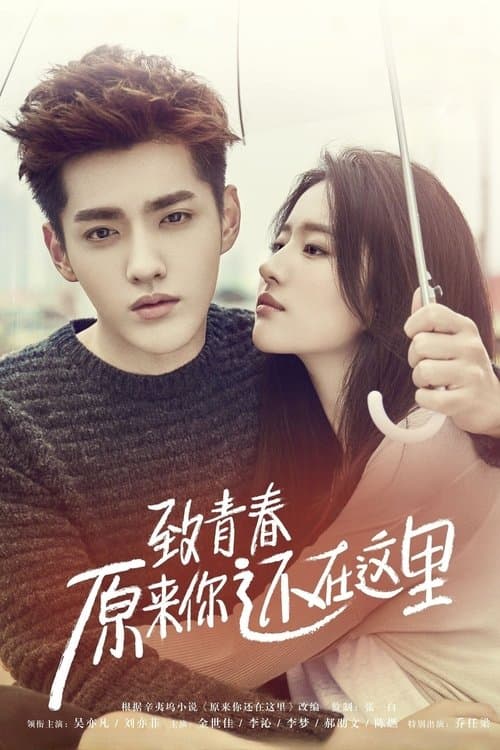致青春·原来你还在这里のポスター