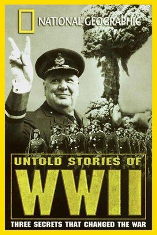 National Geographic: Untold Stories of World War IIのポスター
