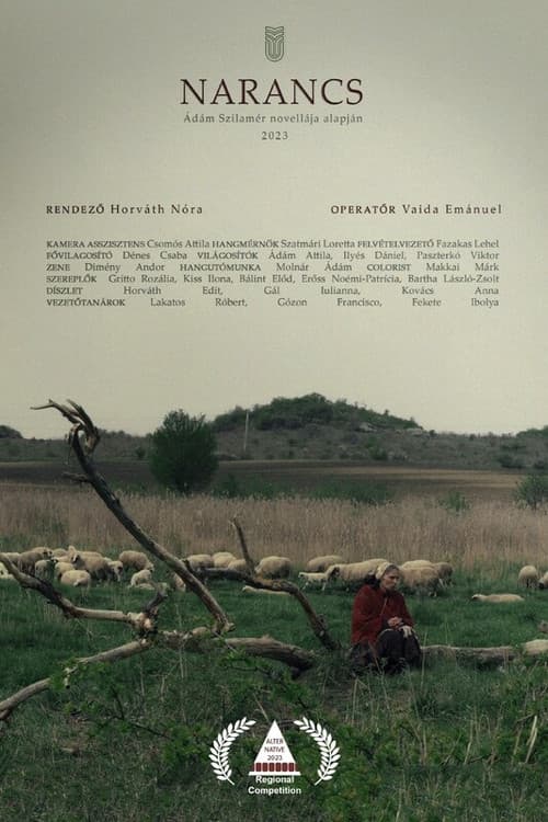 Narancsのポスター