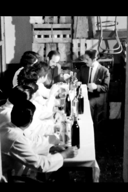 Vías paralelasのポスター