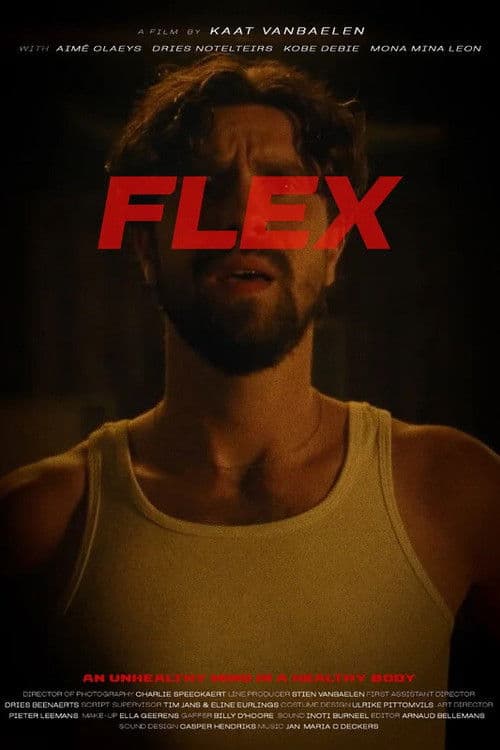 Flexのポスター