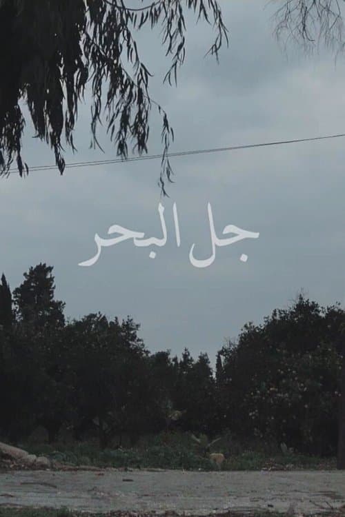 جل البحرのポスター