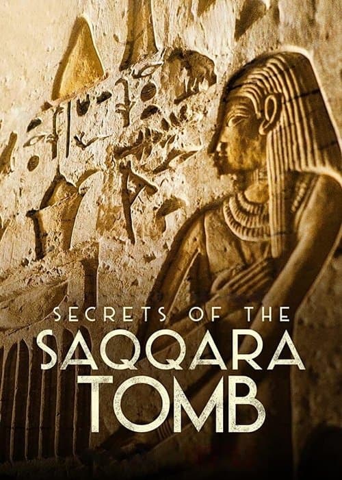 Secrets of the Saqqara Tombのポスター