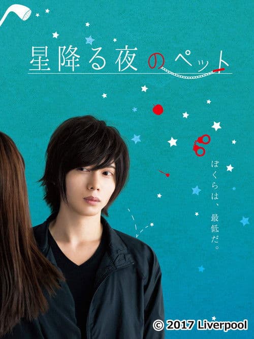 星降る夜のペットのポスター