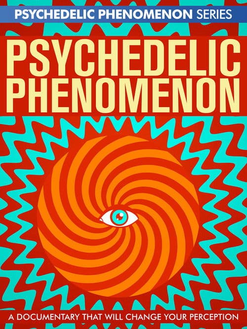 Psychedelic Experiencesのポスター