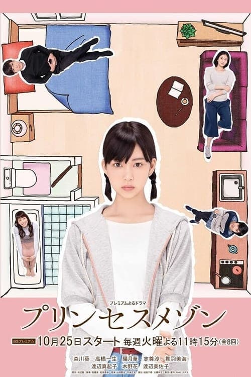 プリンセスメゾンのポスター