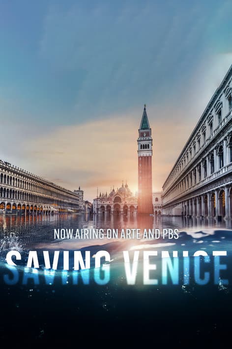 Saving Veniceのポスター