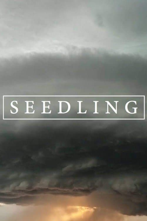 Seedlingのポスター