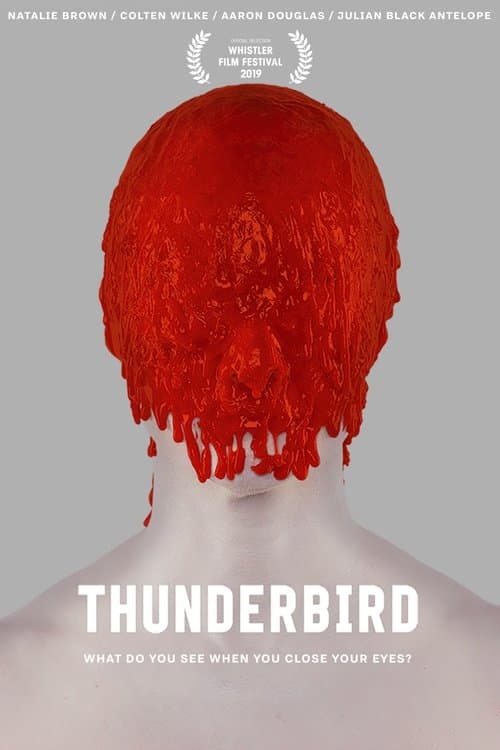 Thunderbirdのポスター