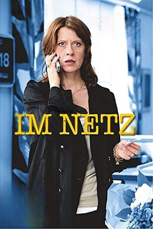 Im Netzのポスター
