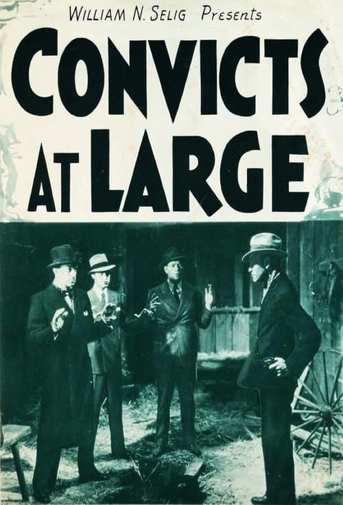 Convicts at Largeのポスター