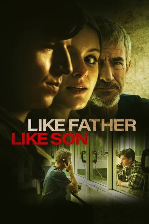 Like Father Like Sonのポスター