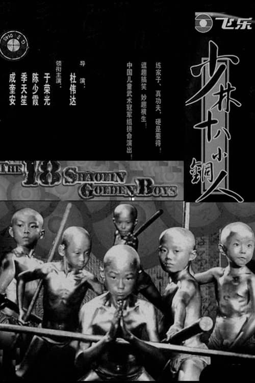 少林十八銅人のポスター