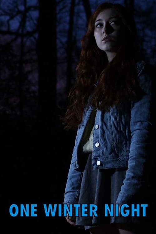 One Winter Nightのポスター