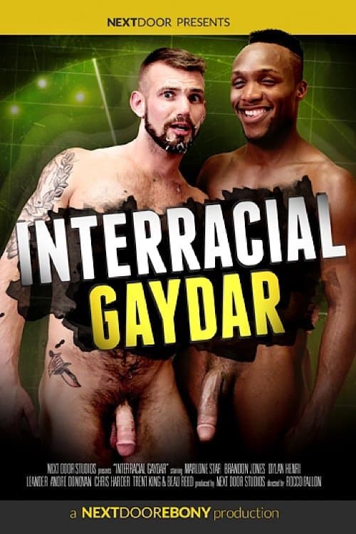 Interracial Gaydarのポスター
