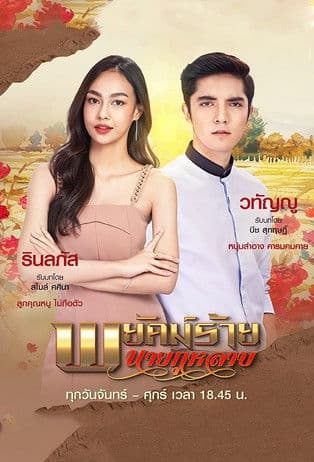 พยัคฆ์ร้ายนายกุหลาบのポスター