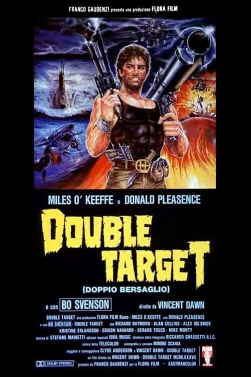 Double Targetのポスター