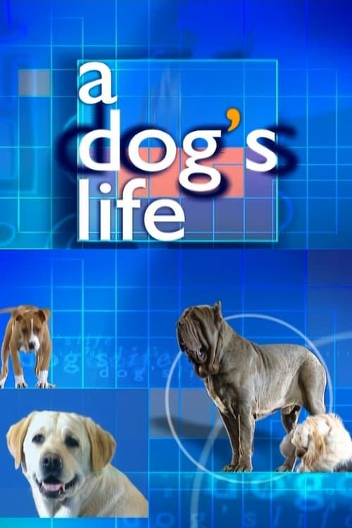 A Dog's Lifeのポスター