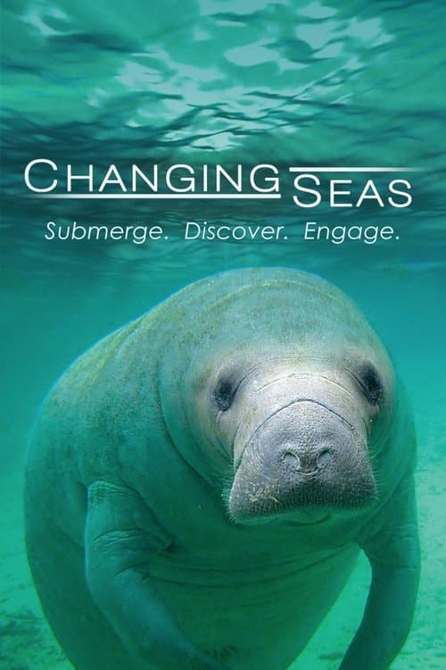 Changing Seasのポスター