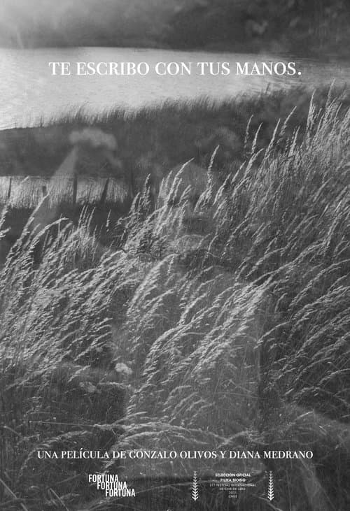 Te escribo con tus manosのポスター