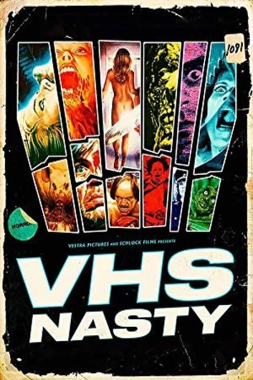 VHS Nastyのポスター