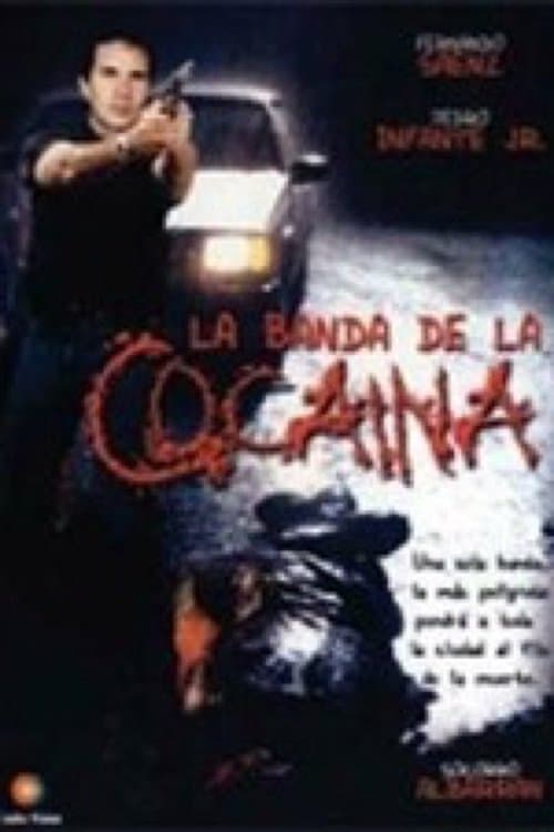 Un ingeniero en la capitalのポスター