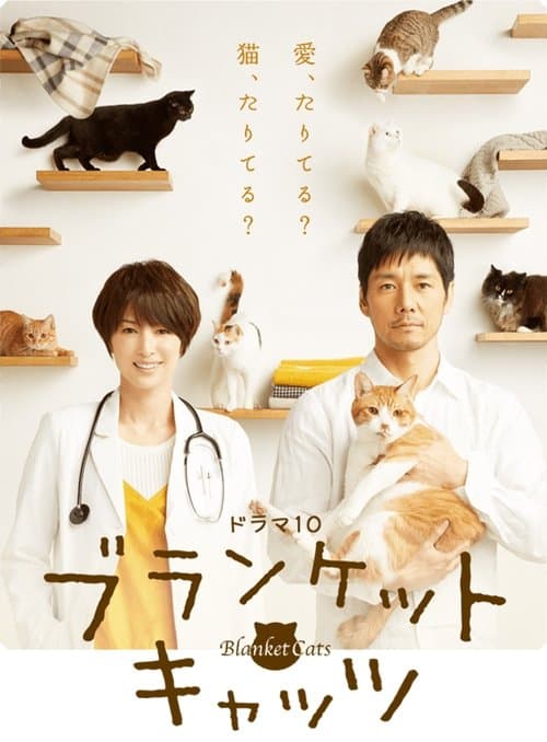 ブランケット・キャッツのポスター