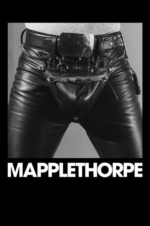 Mapplethorpeのポスター