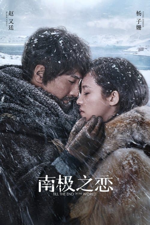 南极之恋のポスター